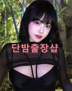 성남콜걸